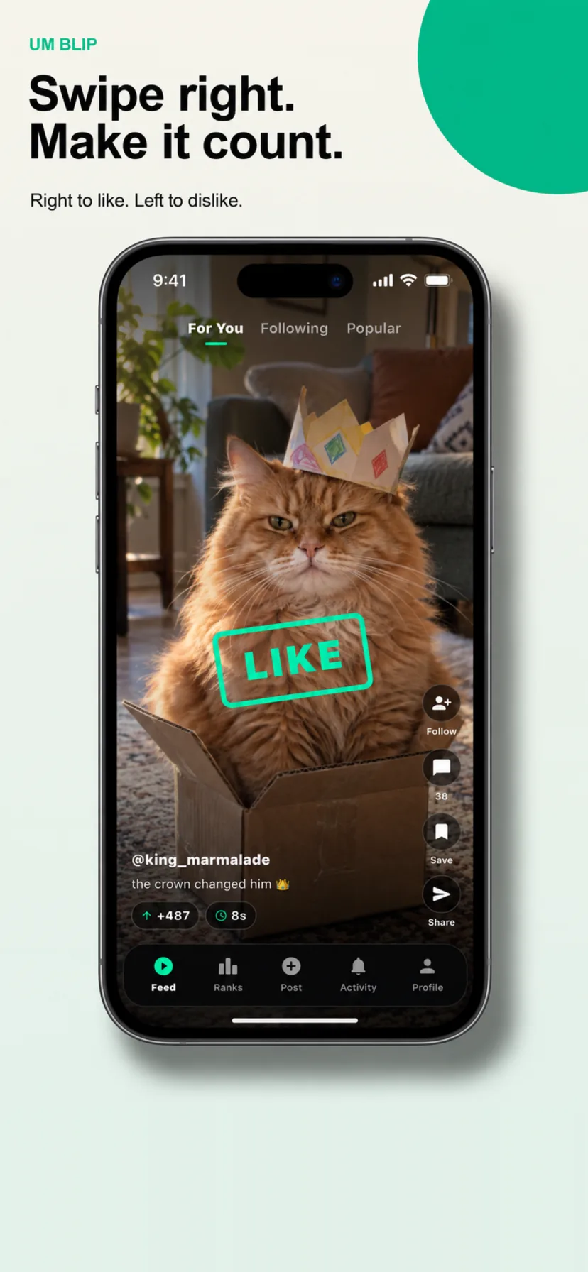 Swiping right to like a funny cat video in Um Blip